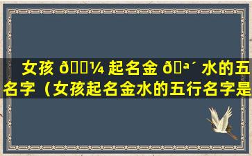 女孩 🐼 起名金 🪴 水的五行名字（女孩起名金水的五行名字是什么）